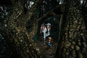 BIB: 
                            <button type="button" onclick="openModal(25693344)" class="btn btn-primary btn-sm float-right btn-popup" data-toggle="modal" data-target=".modal-high-quality">
                        <i class="fas fa-shopping-cart"></i> Add to Cart
                    </button>
                                            <button type="button" onclick="isThisMe(25693344, true)" class="btn btn-success btn-sm float-right btn-popup btn-isme hidden" data-toggle="tooltip" data-placement="bottom" title="นี่คือรูปของคุณใช่ไหม คลิกที่นี่เพื่อเอาเข้าอัลบั้ม">
                        <i class="fas fa-plus"></i> Add to album
                    </button>
                    <button type="button" onclick="isThisMe(25693344, false)" class="btn btn-warning btn-sm float-right btn-popup btn-isnotme hidden">
                        <i class="fas fa-ban"></i> Remove from album
                    </button>